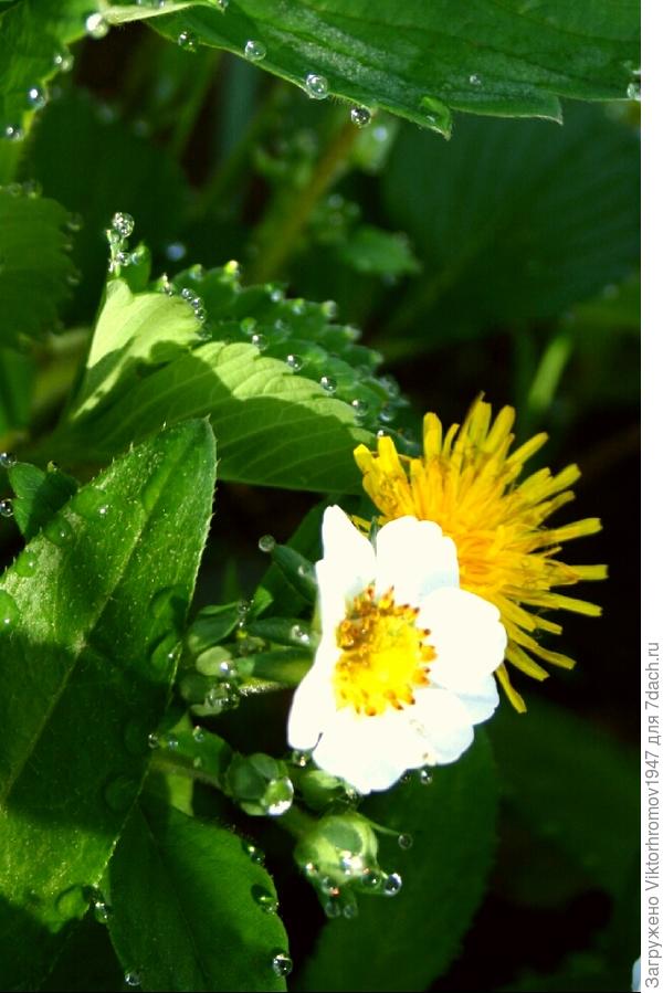 НУЖНО ДЕРЖАТЬСЯ ВМЕСТЕ!