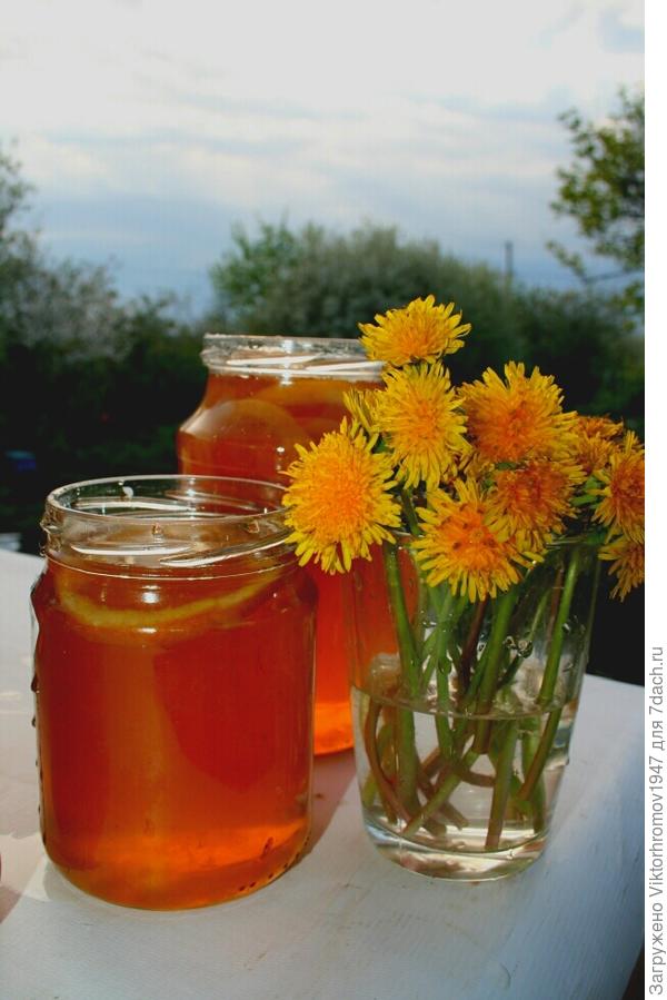 ОДУВАНЧИКОВОЕ варенье готово к праздничному чаепитию!