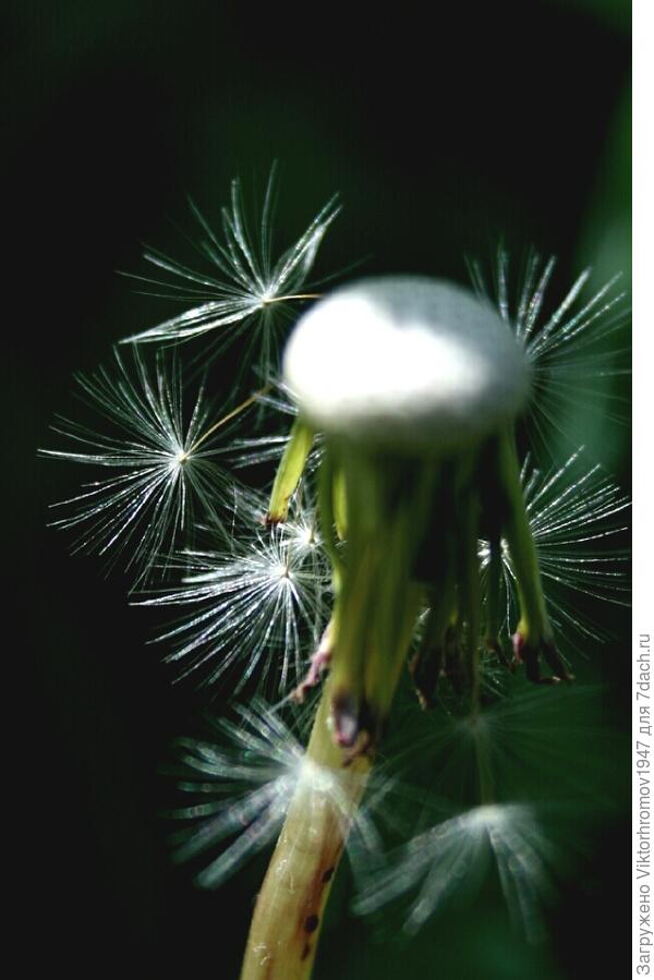 НОВУЮ ЖИЗНЬ!