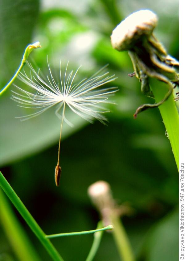 РАДОСТЬ  ПОЛЁТА!