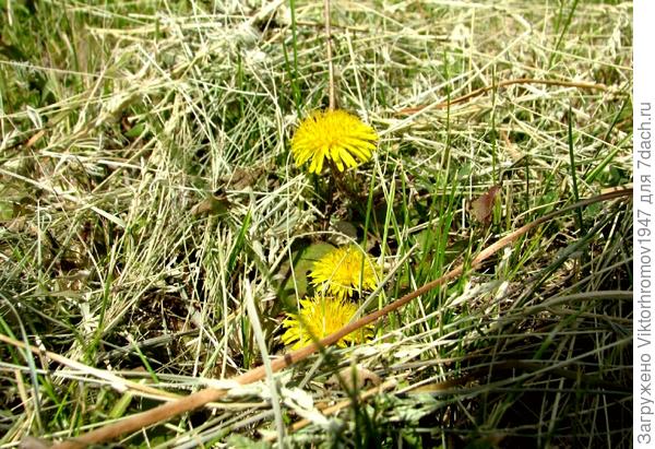 А МЫ ПРЯТАЛИСЬ.