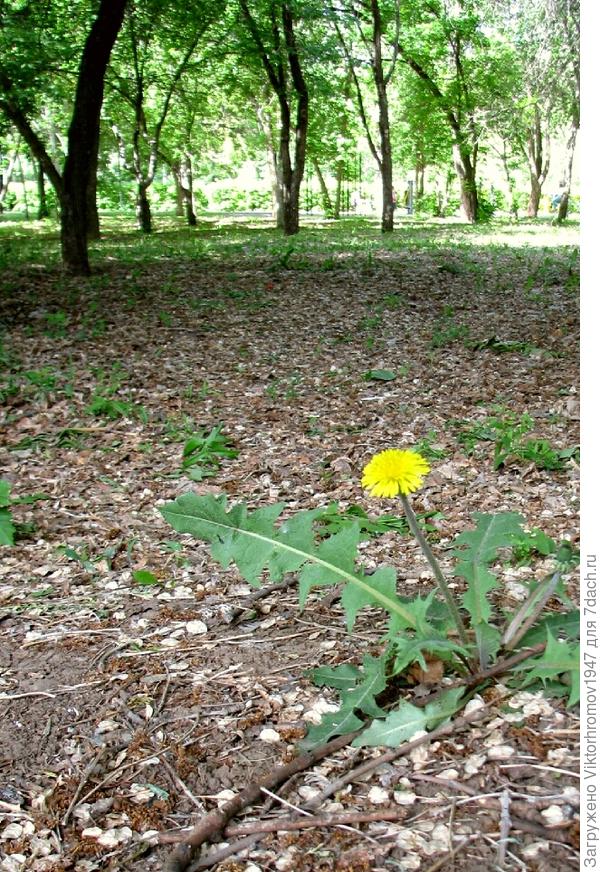 Будем заселять и эту площадь.