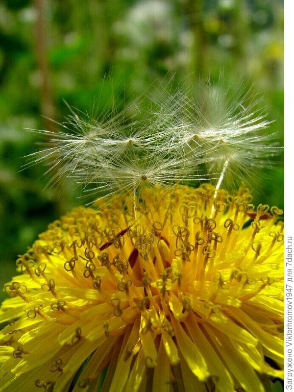 ВЕРНУЛИСЬ. Родные места дороже!