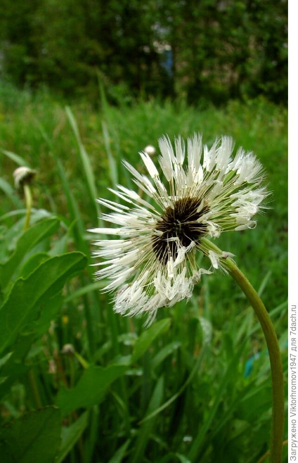 Перед дальней дорогой.