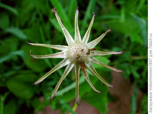 Детишки разлетелись выполнять свою миссию потомства!