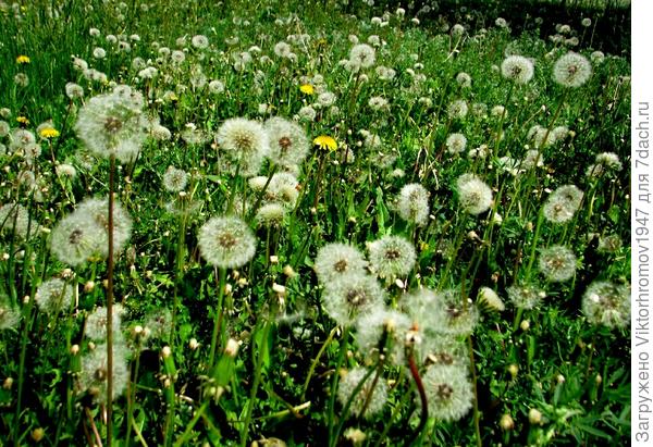 ПОЛЕТИМ...улетим.