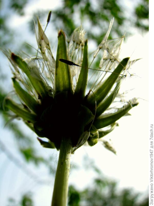 за счастьем отправлю!