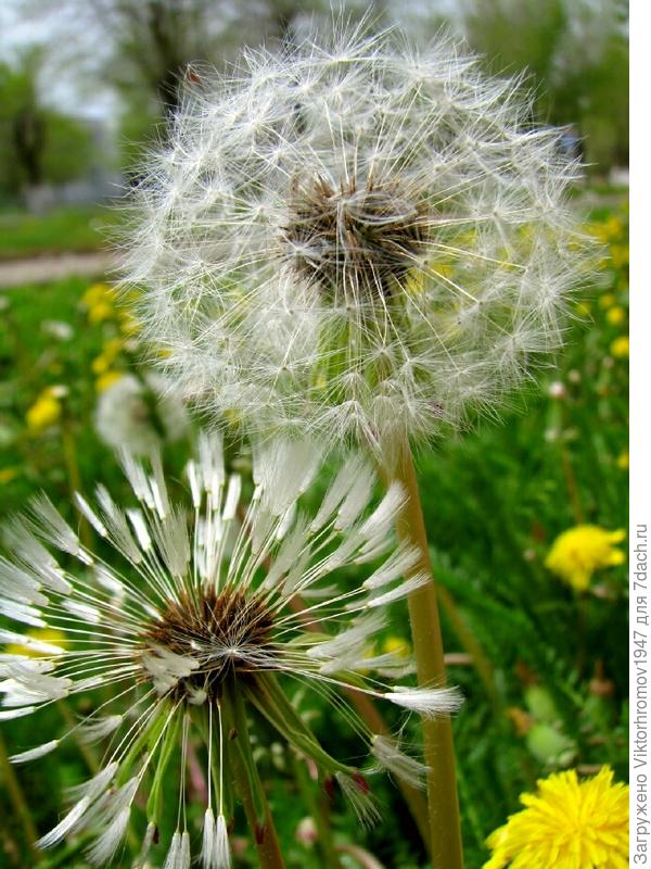 НЕ ВИДНО ЧТО ЛИ...