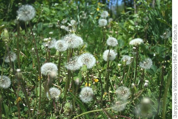 Собираются в дальний путь