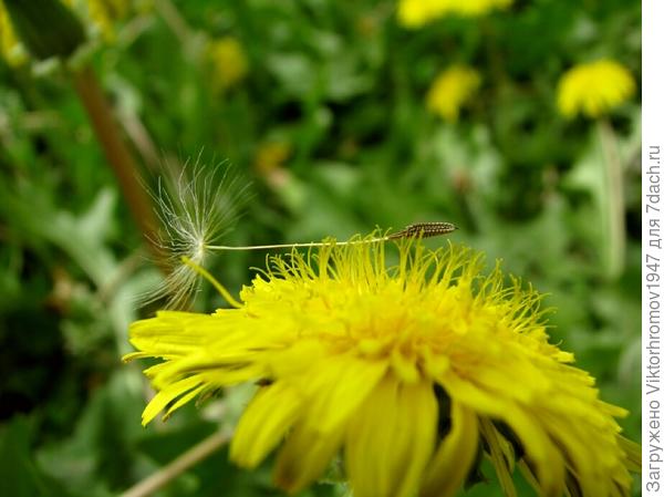 ПОСЛЕДНЕЕ  НАПУТСТВИЕ...