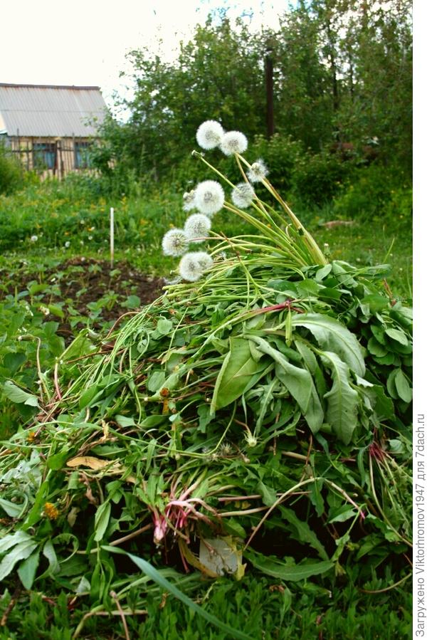 ШИКАРНЫЙ КОМПОСТ