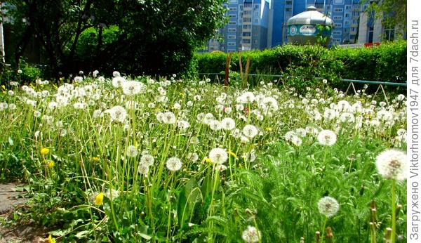 в городской среде