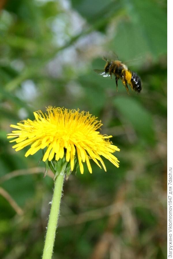 ВОТ ПОВЕЗЛО...