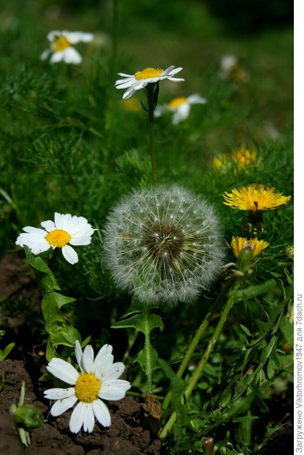 ЛЕТО НЕ КОНЧАЛОСЬ