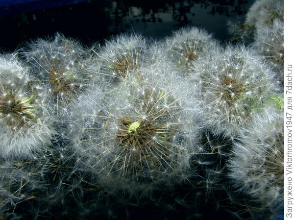 ВЫДЕРЖАЛИ...