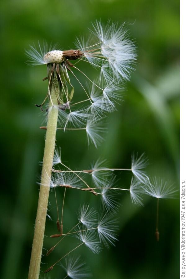 НЕ ХОТИМ УЛЕТАТЬ