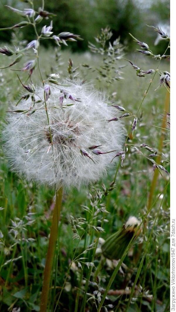 ОСТАВАЙСЯ с нами.