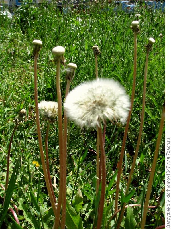 Бывшие атлеты