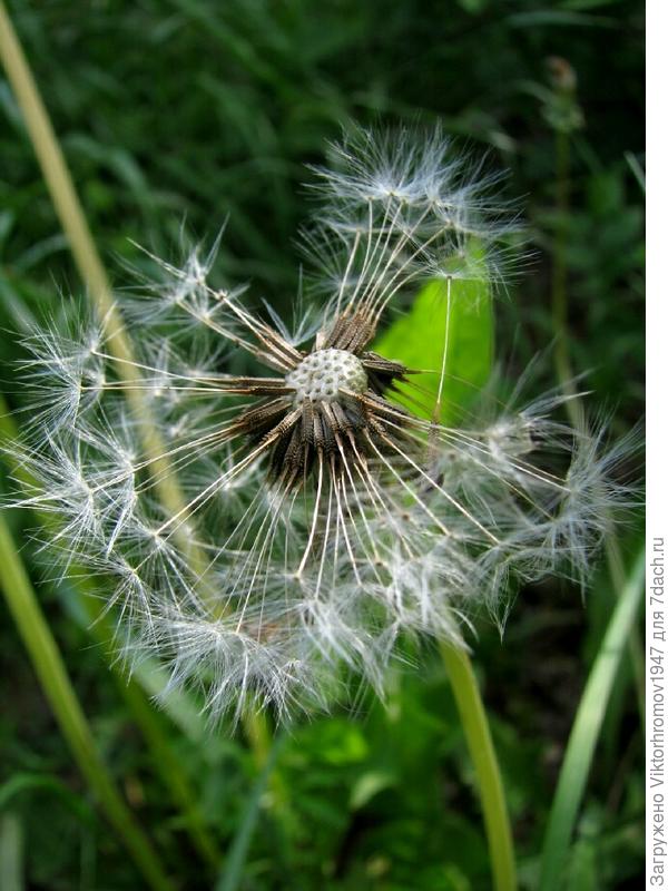 ЮЖНЫЙ ВЕТЕР