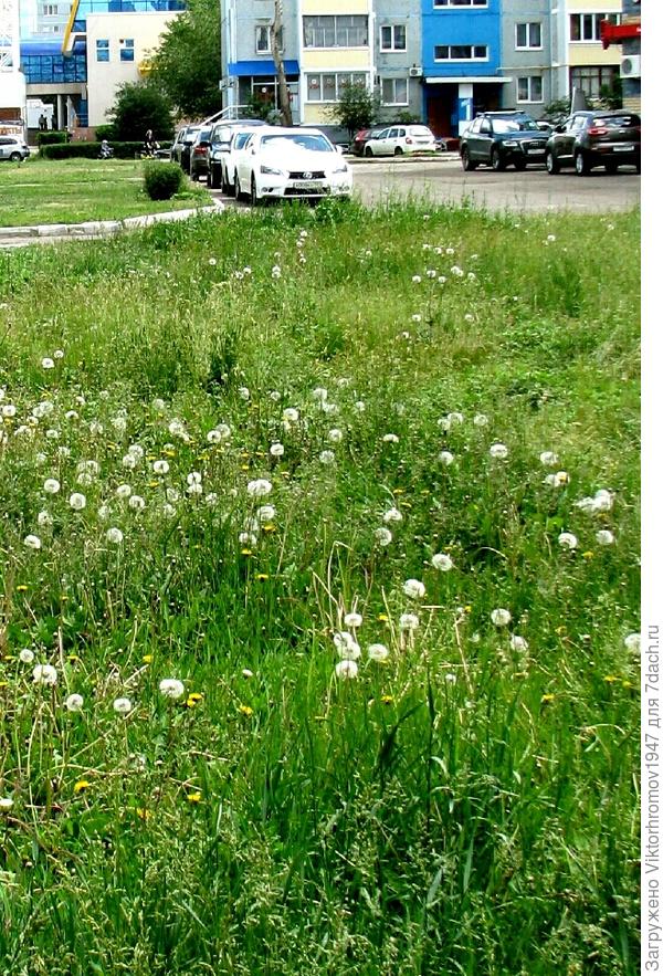ГОРОДСКИЕ ОДУВАНЫ...