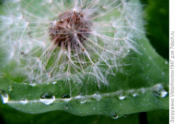 ВОТ ЭТО...ЛИВАНУЛО