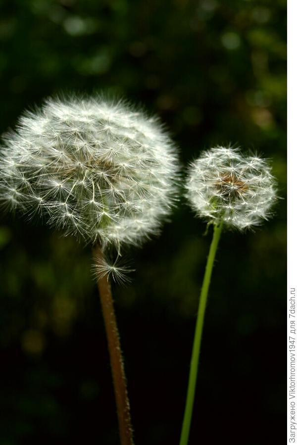 Значит размер имеет значение