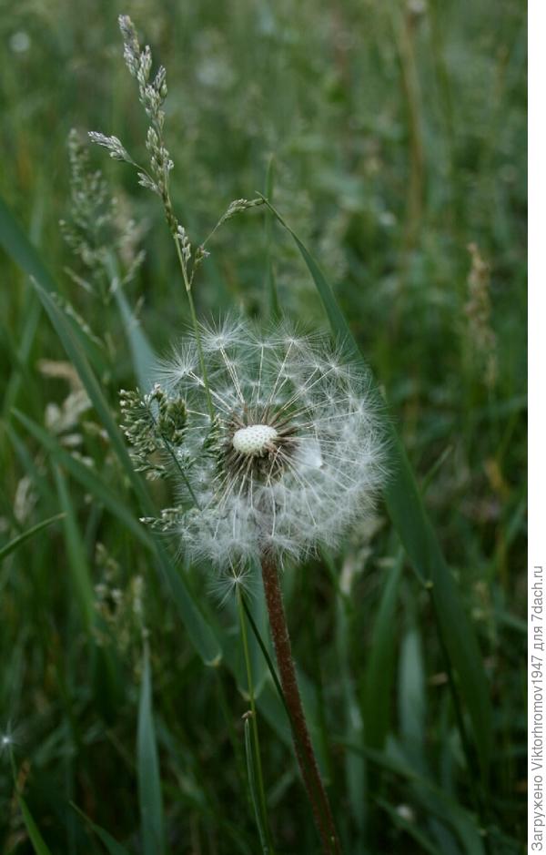 Фото красавчик