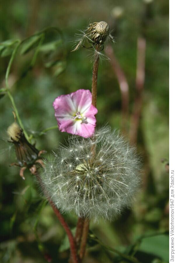 Наверное любовь