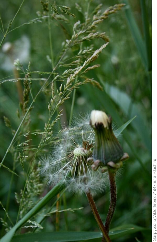 Красивый летний вечер...