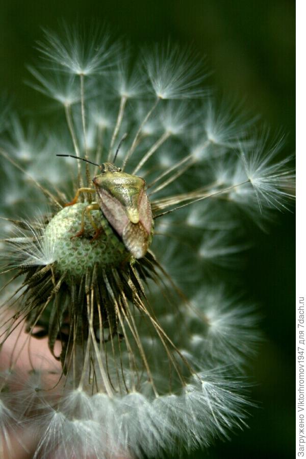 Дождался места и уселся...