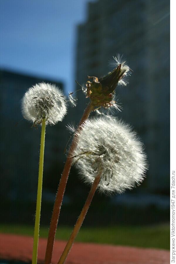 Я маленький такой