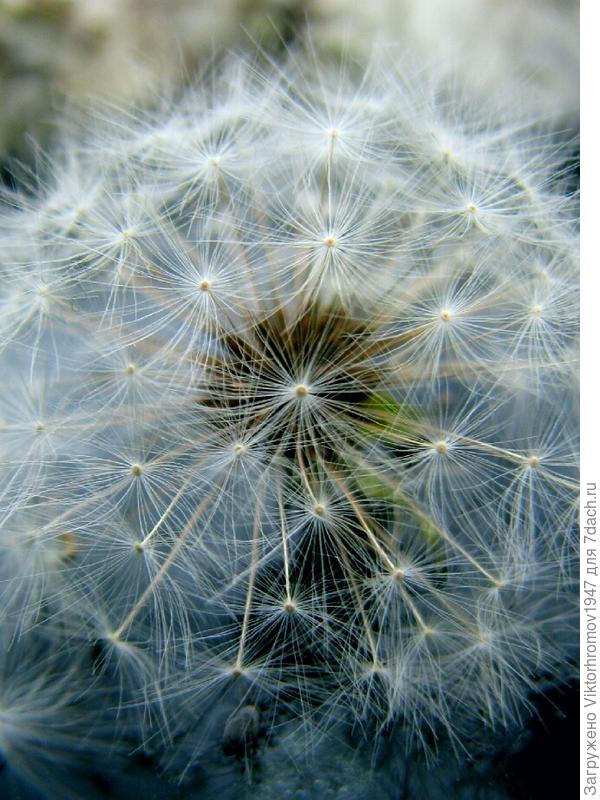 Готов к перелёту