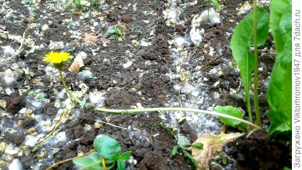 Так уползти...