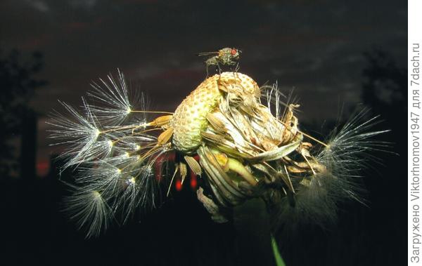 НУЖНО ЗАНЯТЬ ПЛОЩАДКУ ПОВЫШЕ...