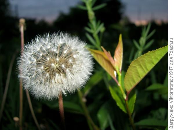 На закате...