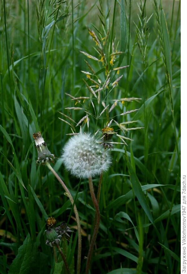 Дружеское фото