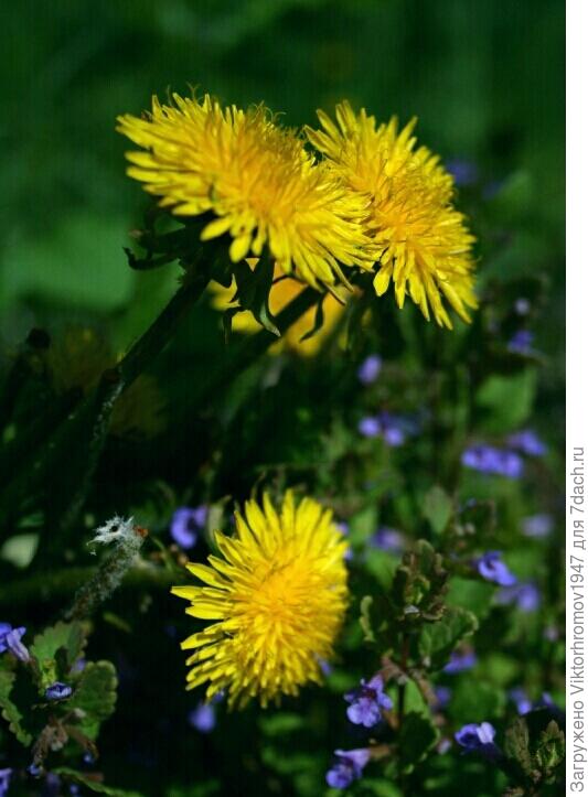 И мы КРАСАВЦЫ