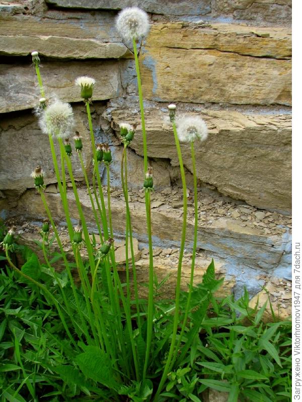 Так что мы полезные...