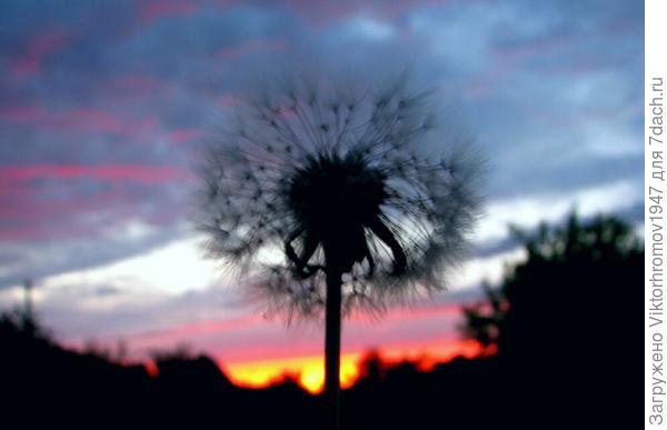 Утро ветренное и пасмурное...