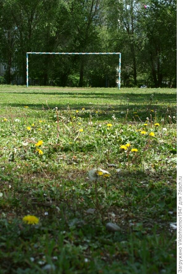 ЗНАКОМОМ ФУТБОЛЬНОМ ПОЛЕ....(конечно это добрая шутка)