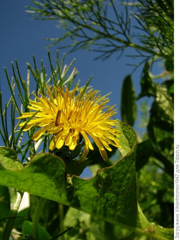 пора просыпаться.