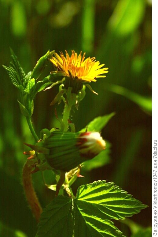 Что день грядущий нам готовит...