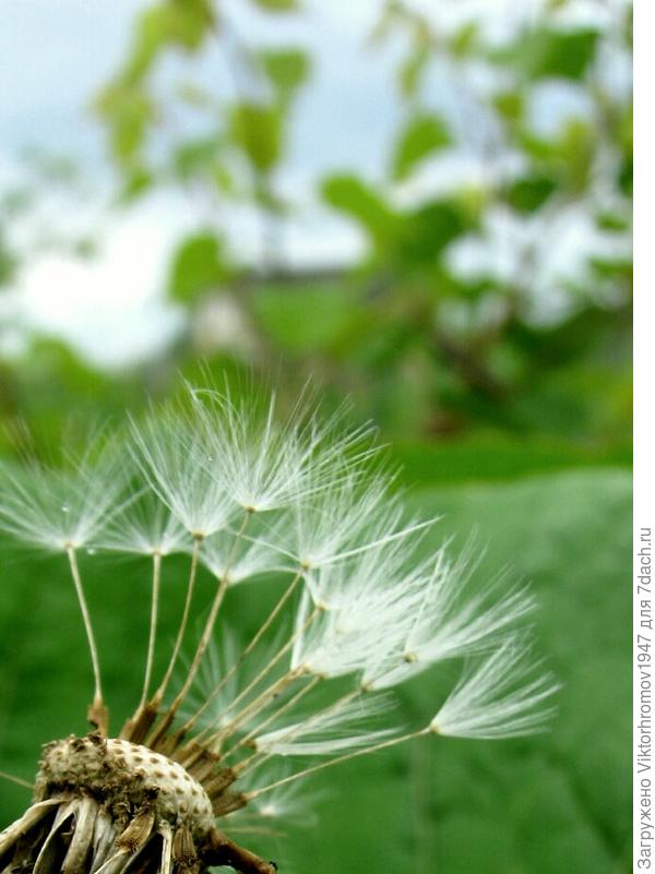 МЫ ГОВОРИМ ДО ВСТРЕЧИ!