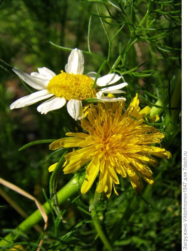 Приятное знакомство!