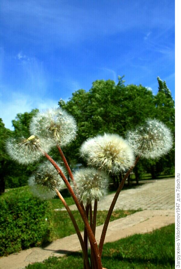 Всем УДАЧИ и хороших УРОЖАЕВ!!!