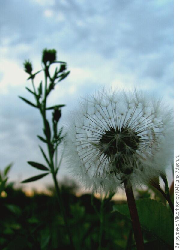 Спокойной ночи!