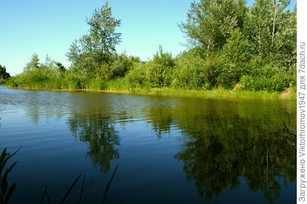 Рыбка плещется. Икромёт.