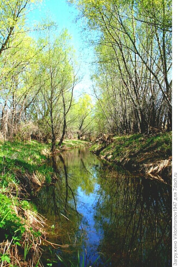 Но красивая, степенная и рыбная!