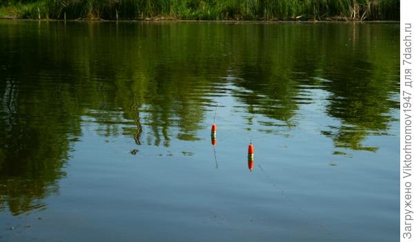 Так и не шевельнулись