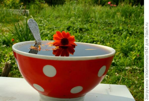 Да с Календулой!